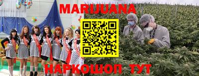 трава Донецк