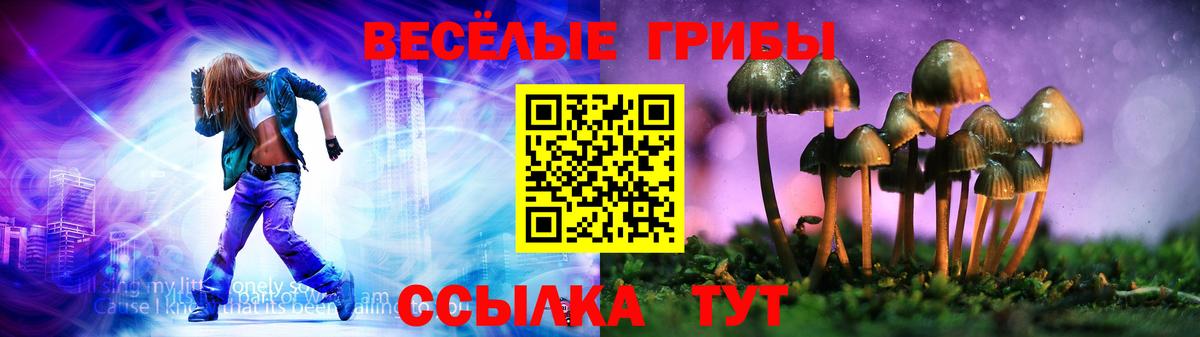 Псилоцибиновые грибы Psilocybine cubensis Карпинск