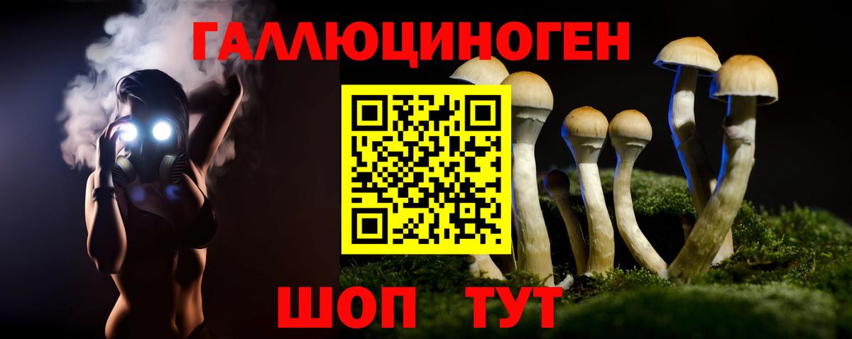 Псилоцибиновые грибы MAGIC MUSHROOMS  Вход с VPN  Карпинск 